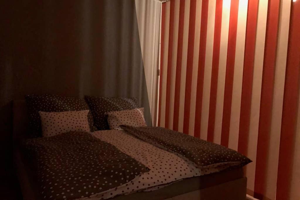 Apartman Quattro Sokolov Dış mekan fotoğraf